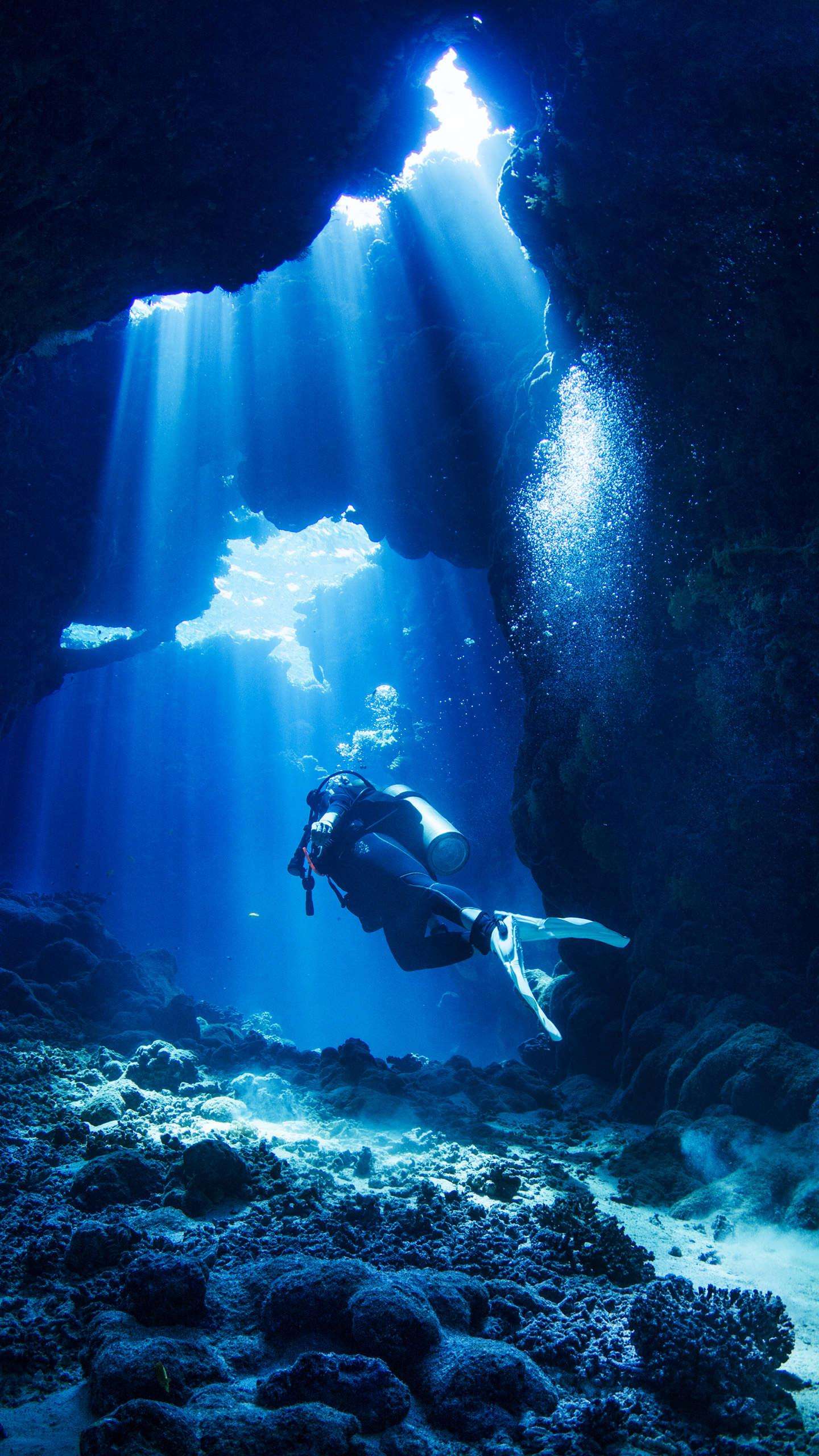 夜间自由潜水表演,光影交错尽显海底魅力的简单介绍 夜间自由潜水表演,光影交错尽显海底魅力的简单介绍