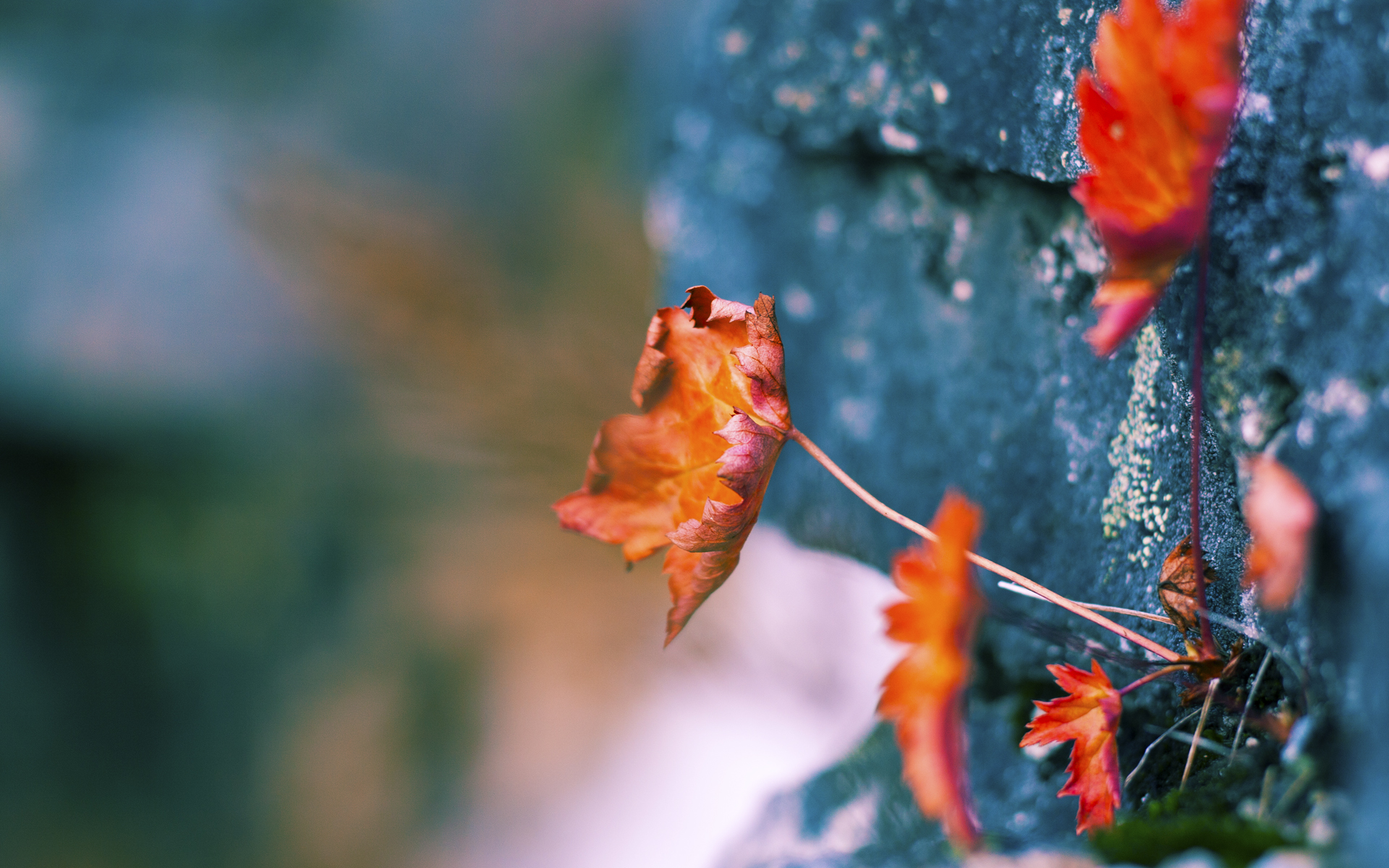 米兰体育app入口-国足在世界杯预选赛中的战术调整，国足世界杯预选赛出线形势