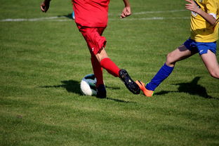 AC Milan Sports-世界青少年自行车赛中国骑手再创佳绩，2020全国青少年自行车锦标赛