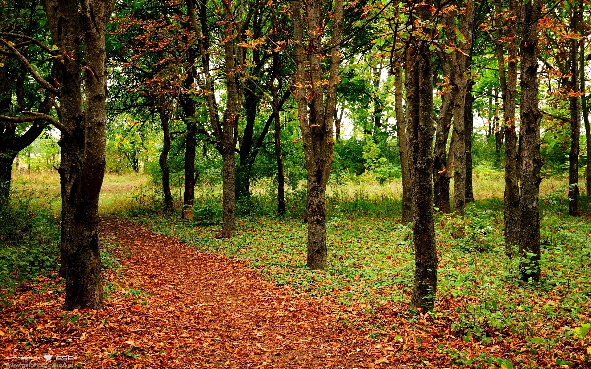 ac米兰-世界杯中国队晋级 数据分析受到关注，世界杯中国队晋级了吗