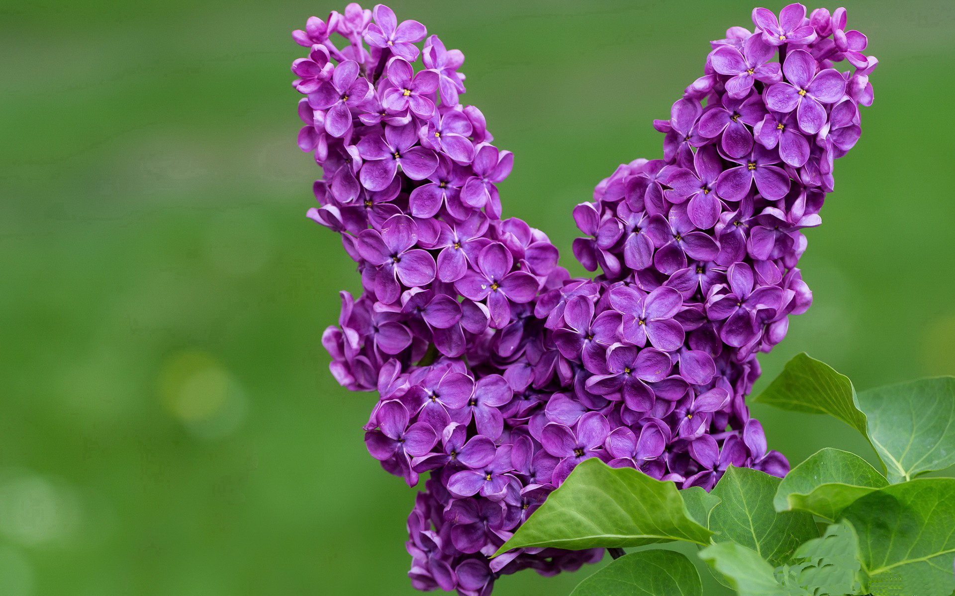 米兰体育app入口-亚洲杯中国女足战胜 球员状态稳定，中国女足 亚军