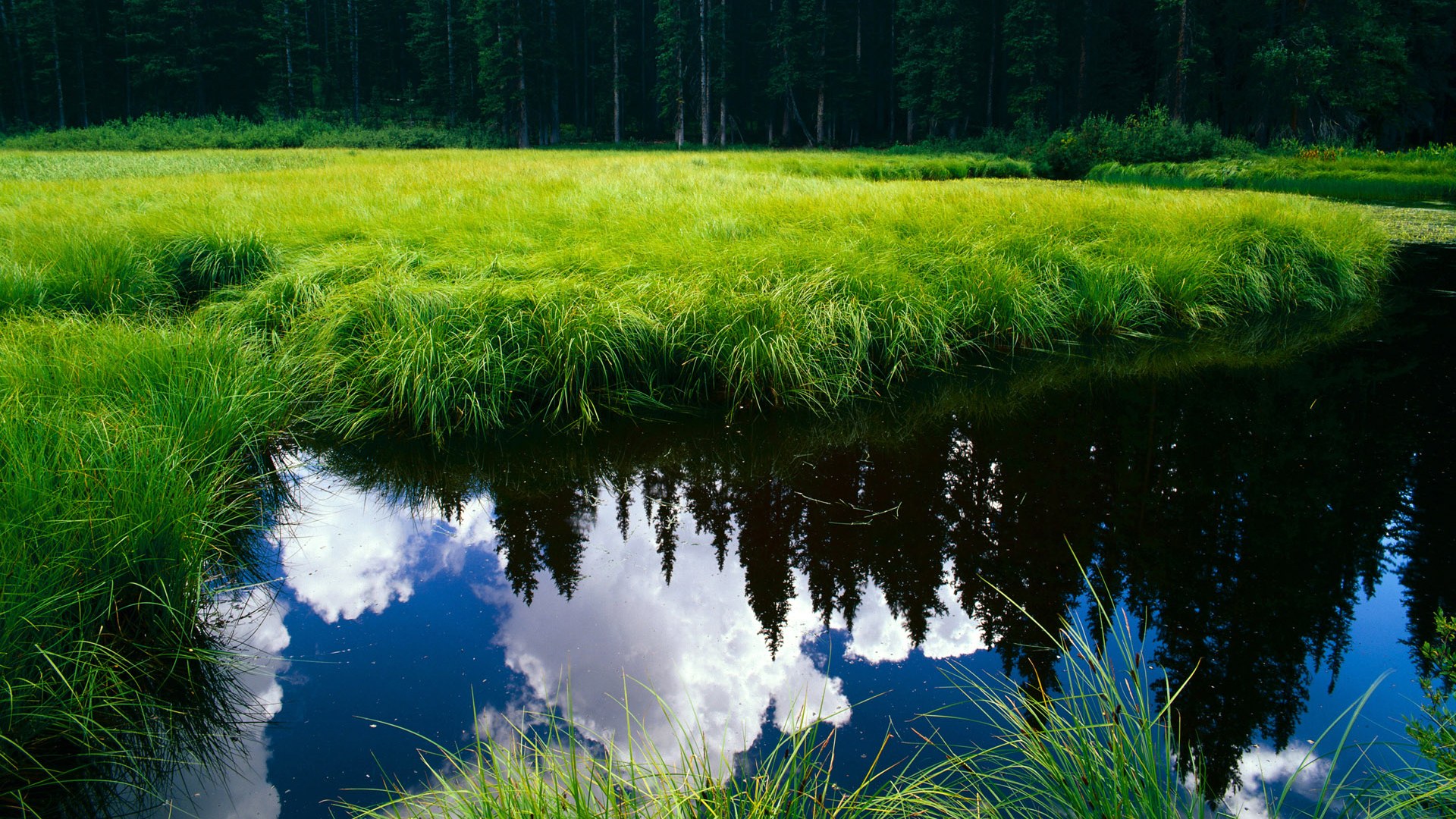 赛季尾声替补发挥能否改写保级争冠形势，季前赛降级保护