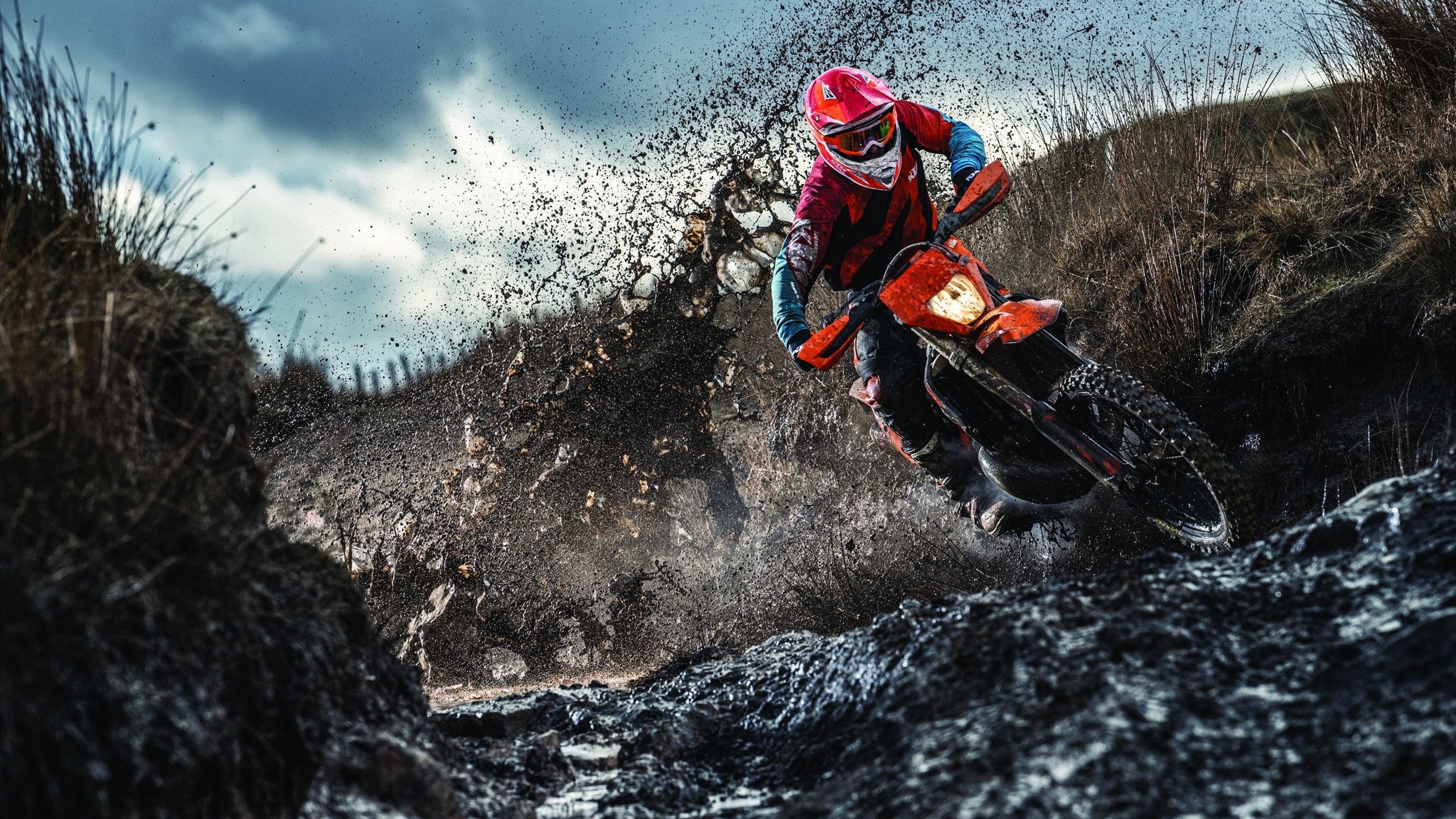 未来联盟：虚拟观赛、AR互动塑造新篮球体验，未来lol