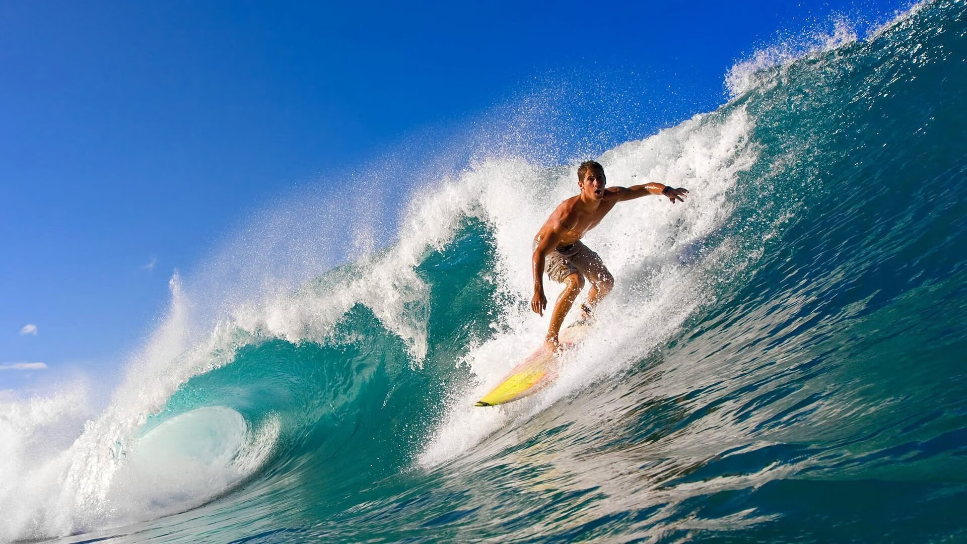 精彩对抗：本周最激烈的五场比赛回顾，对抗赛锦标赛